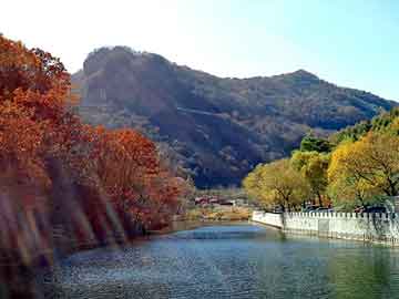 澳门二四六天天彩图库，铝屑压块机